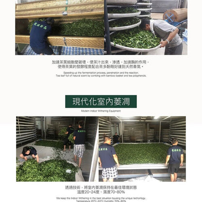 Qilai Mountain Specially Selected High Cold Green Oolong Tea,150g*4