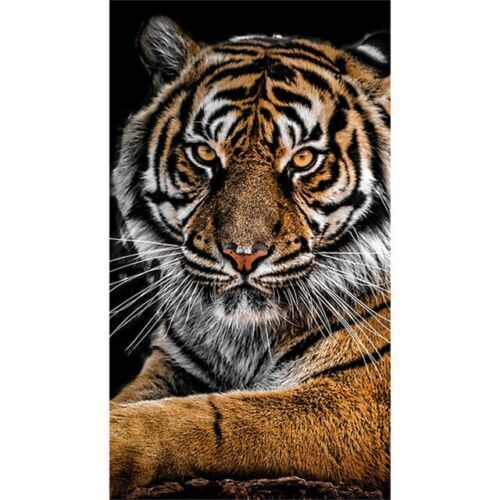 Animals Canvas Painting Tiger Canvas Wall Art Home Decor Posters Prints Pictures