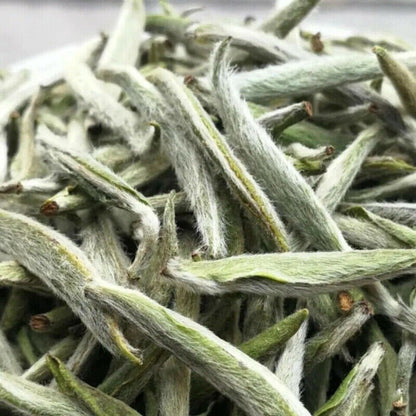 50g Health Chinese Premium Silver Needle Fuding White Tea Bud Tea