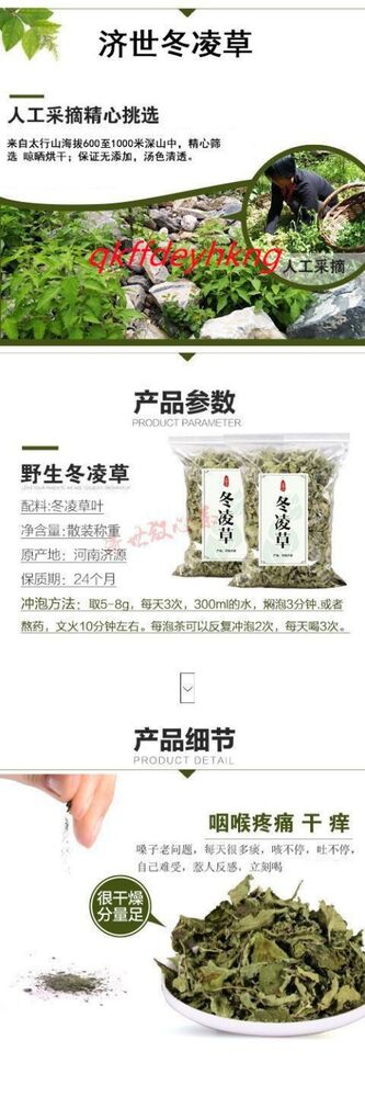 Dong Ling Cao Tea/Chinese herbal 野生冬凌草茶 济源冬凌茶 冬凌草纯叶新鲜 长期呵护咽喉 清咽润喉 500g