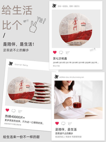 Pu-Erh, old comrade, struggle, 2021y, 357g, Ripe