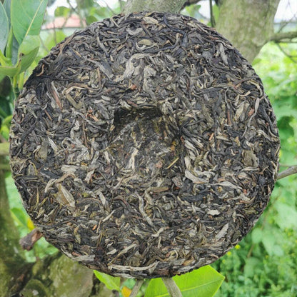 357g Banzhang Puerh Raw Tea Cake Yunnan Pu-erh Tea Cake Ancient Tree Green Tea