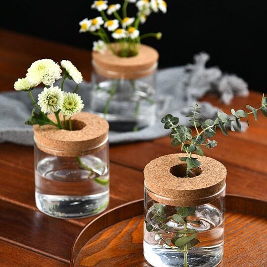 Glass Decorative Vase Hydroponic Glass Bottle Hydroponic Ecological Bottle