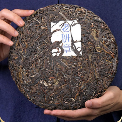 357g Lao Ban Zhang Old Tree Pu-erh Raw Tea Yunnan Puerh Tea Big Leaf Pu'er Tea