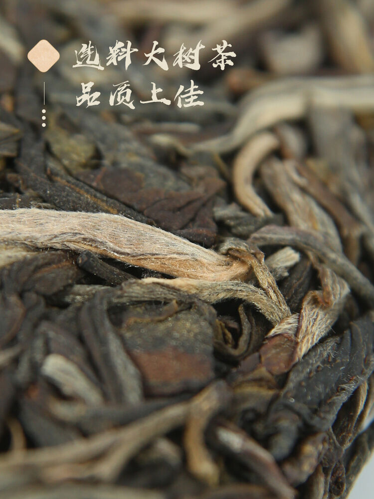 Pu-Erh, Chen Shenghao, Spirit Mouse Zhaocai, 2019y, 357g, Raw