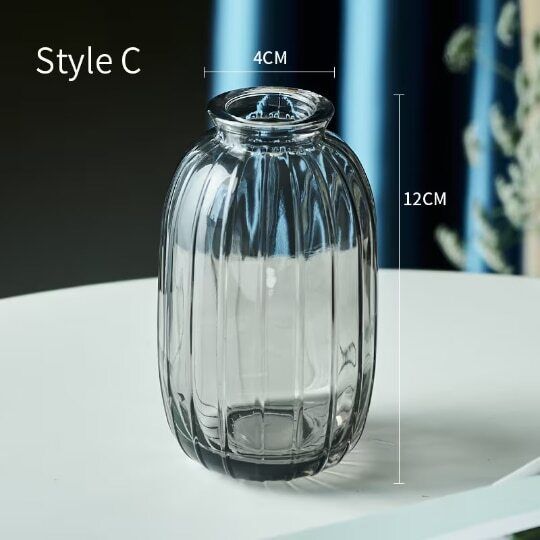 Relief Small Glass Vase Hydroponic Terrarium