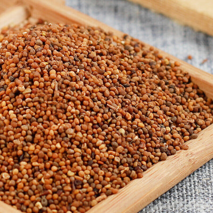 Tusizi Health Care Chinese Medicine Tea Organic Herbal Tea 50g/250g Dodder -