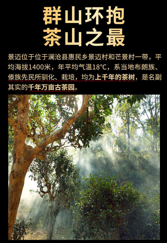 Pu'er, Pu'er, Pu'er, 2020Y, 357G, RAW
