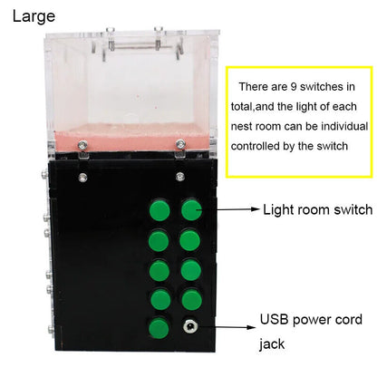 Ant Farm With Independent Lights Control Ecological Insect Anthill Nest Workshop