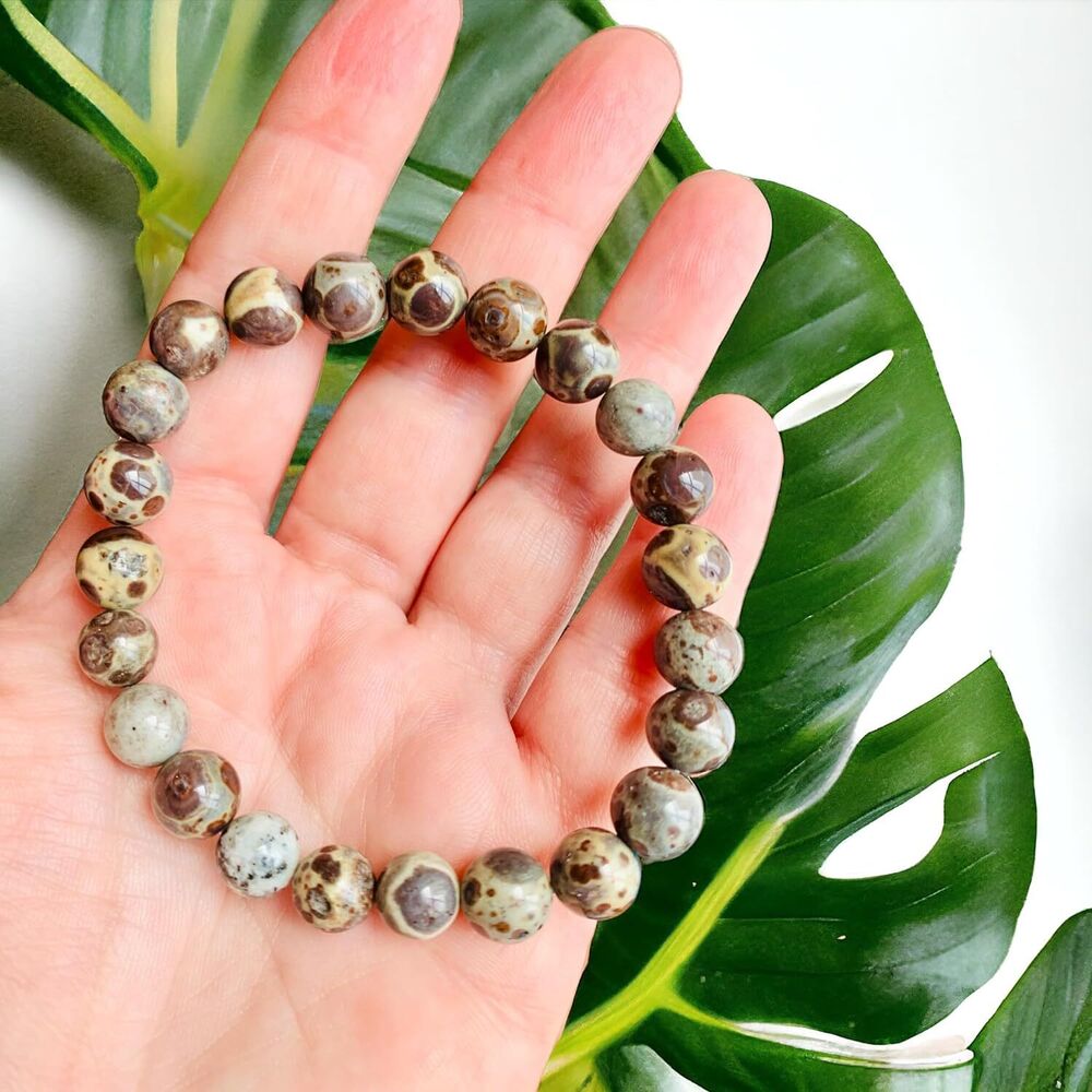 Crystal Asteroid Jasper Round Bead Stretch Bracelet Gift Meditation Crystals