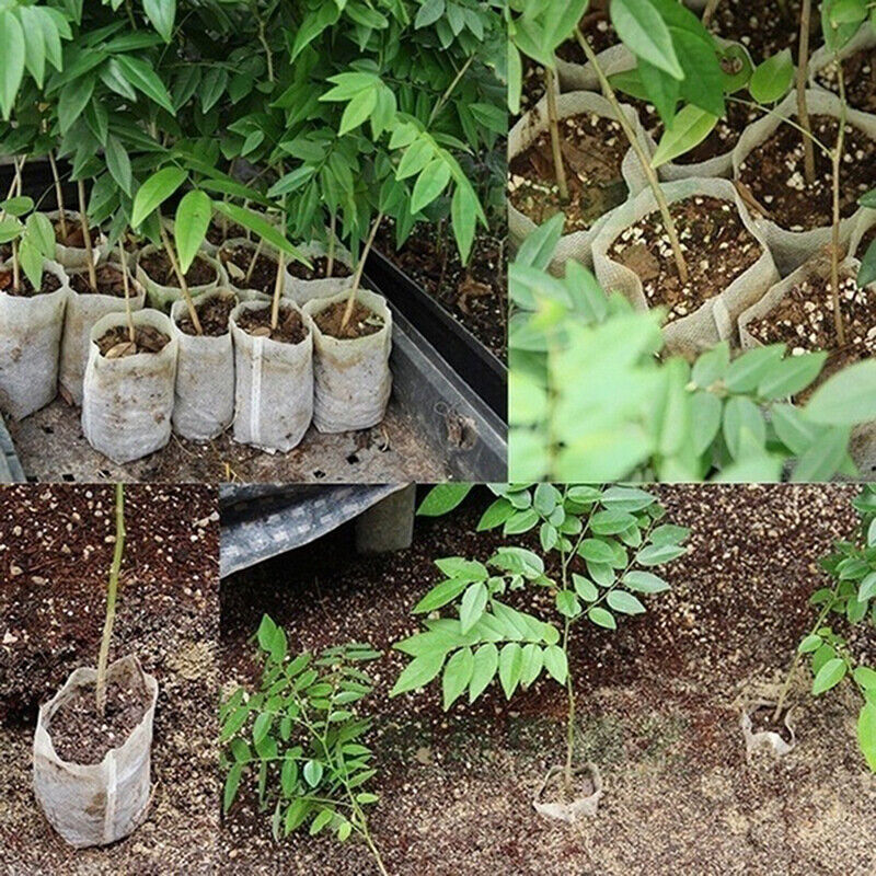 100x Seedling Plants Nursery Bags Fabric Eco-friendly Growing Planting Bags..X