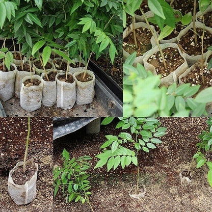 100x Seedling Plants Nursery Bags Fabric Eco-friendly Growing Planting Bags..X