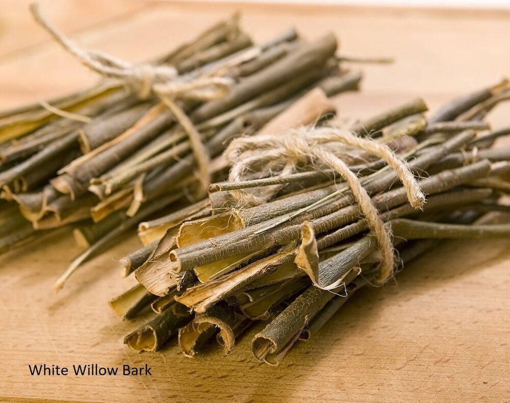 WILLOW BARK WHITE PREMIUM HARVEST 250g Salix alba herb tea dried herb