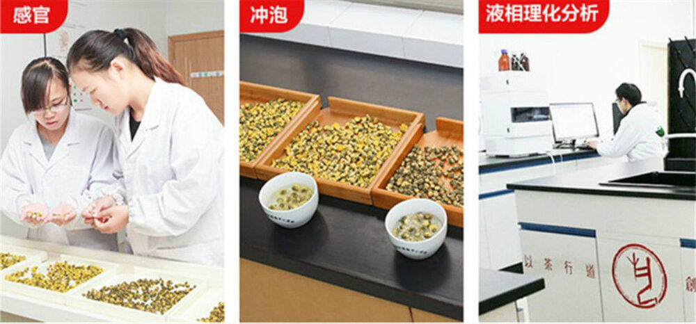 Chrysanthemum Tea 4 Pieces Chinese Herbal Tea Organic Flower Tea Healthy Drink