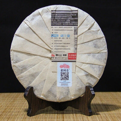 2022 Haiwan lao tong zhi YiWu Puer Tea Ma Hei uncooked Old Tree Pu'erh tee,500g