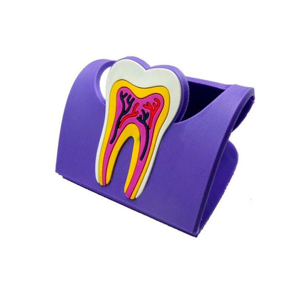 Dental Clinic Tooth Card Display Stands Colorful Rubber Teeth Molar Holder Decor