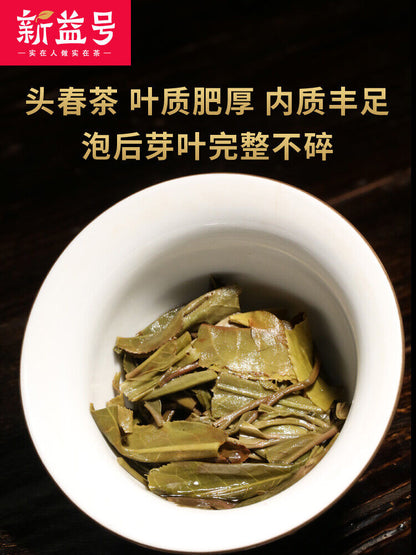 500g Yunnan Pu'er Tea Natural Healthy China HerbalTea 新益号 云南普洱茶生茶小粒装生普早春沱小沱茶