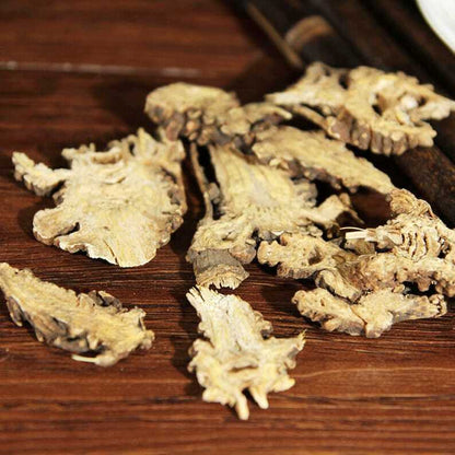 Pure Natural Chinese Ligusticum Rhizome Rhizoma Ligustici Great Quality