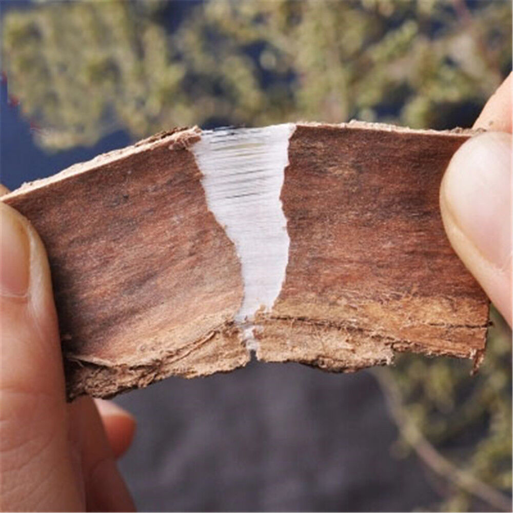 100% Natural Ocmia Bark / Dried Ocmia Cortez Bulk