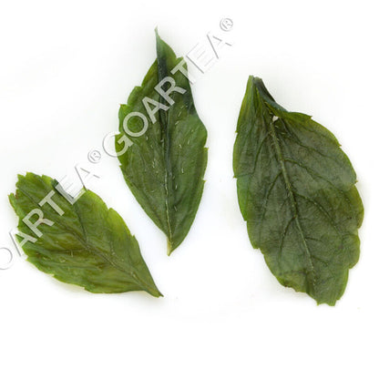 HELLOYOUNG 250g Supreme 7Leaf Jiaogulan Gynostemma Pentaphyllum Tea Herbal Green