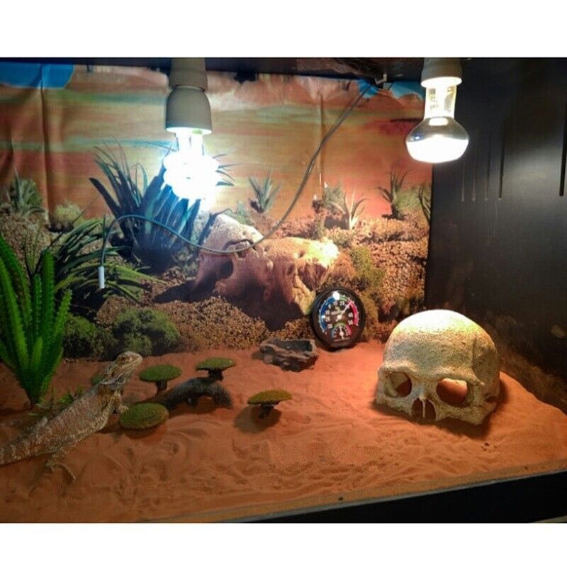 Aquarium Decoration Resin Head Skull Statue Lizard Terrarium Ornament 14x10x11cm