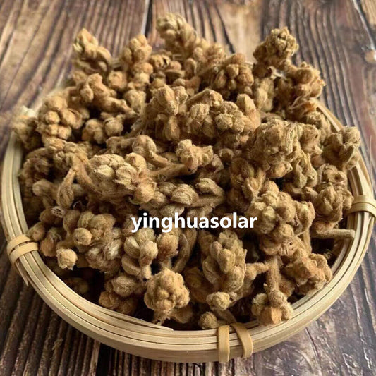Loquat Flower Tea Relieving Cough Lung Nourishing 枇杷花风热感冒止咳润肺清热解毒维持新陈代谢改善补充能量