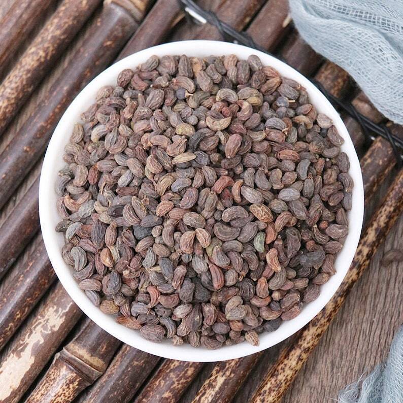 Organic herbal Glossy Privet Fruit Fructus Ligustri Lucidi Great Quality