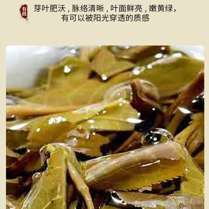 Puerh, 2020, Ancient Tea House, Ban Bon Ancient Rhyme, 357g, Raw