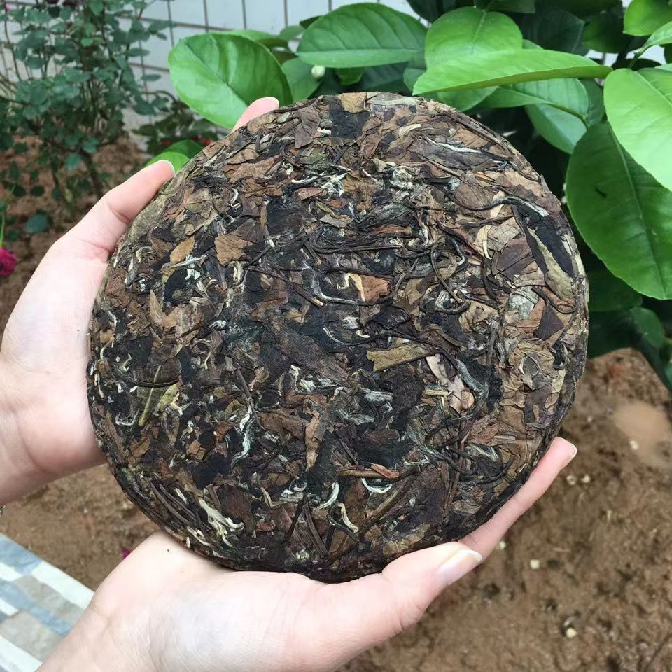 357g Fuding White Tea Cake Old Tree Natural White Tea Organic Gongmei White Tea