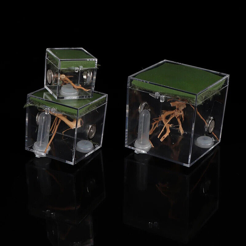 Ant Farms 3Pc Acrylic Clear Spider Insect Breathable Terrarium Reptile Breed Box