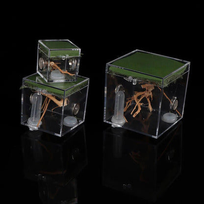 Ant Farms 3Pc Acrylic Clear Spider Insect Breathable Terrarium Reptile Breed Box