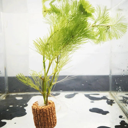 Aquarium Plant Ring Holder 10Pcs Pottery Fish Cup Weight Tank Media Pond Planter