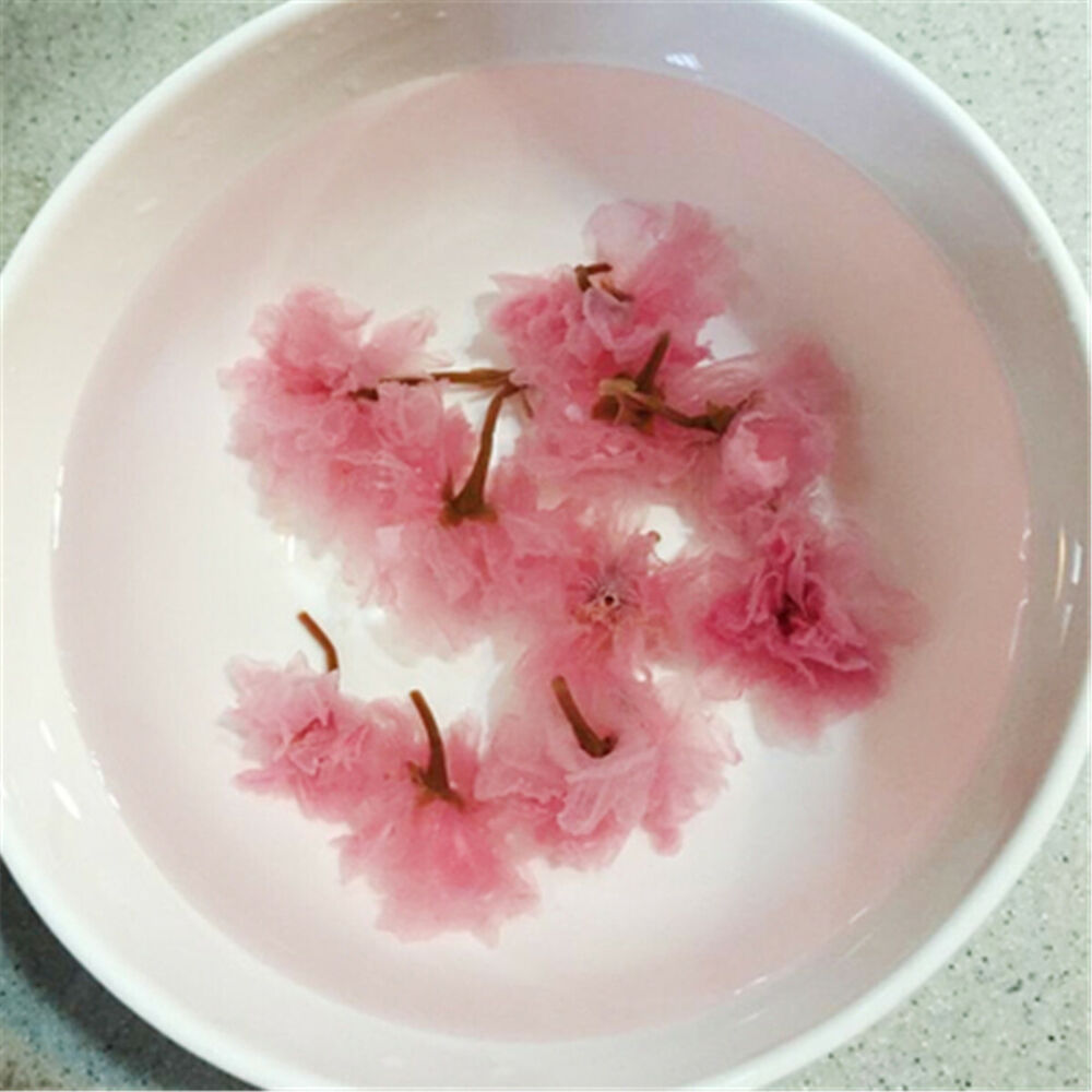 Preserved Flower Tea Pink Cherry Blossoms Japanese Traditional Salted Sakura Cha