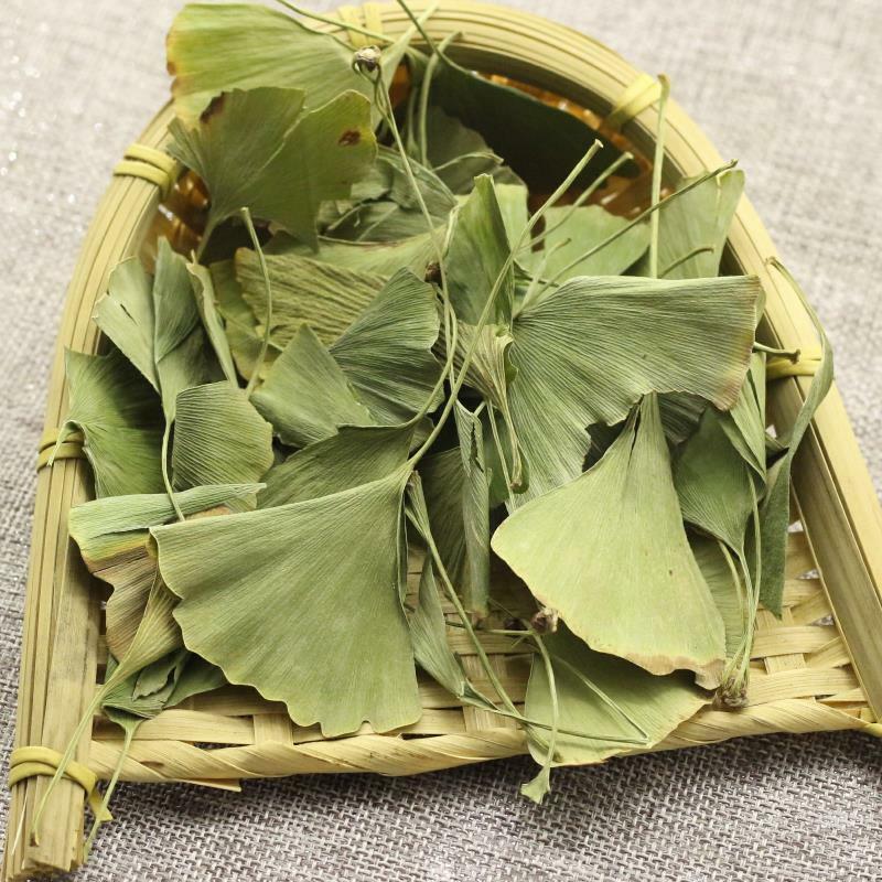 Ginkgo Biloba Leaves Tea Chinese Ginkgo Tea Organic Herbal Green Tea Health Care