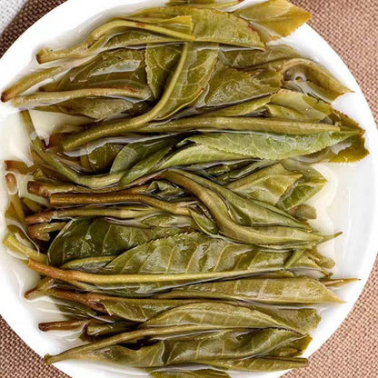 Iceland Pu-erh Raw Tea Premium Yunnan Puerh Sheng Tea Organic Pu'er Green Tea