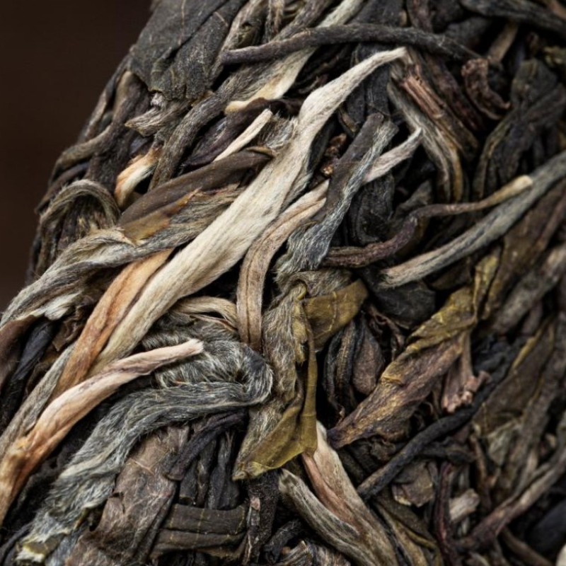 Bent Bow Raw Puerh Tea Cake 357 GM Yiwu Ancient Tree Puerh Tea Organic Tea