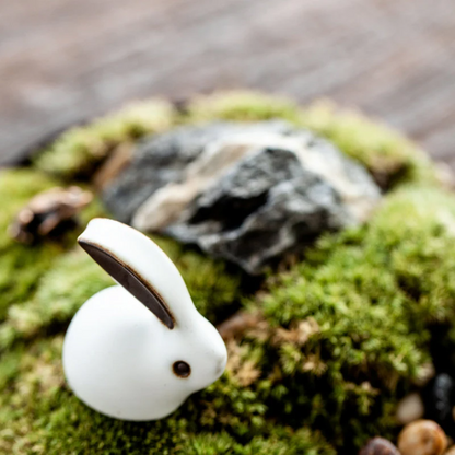 Ceramic Teapets Rabbit Tea Table Decor