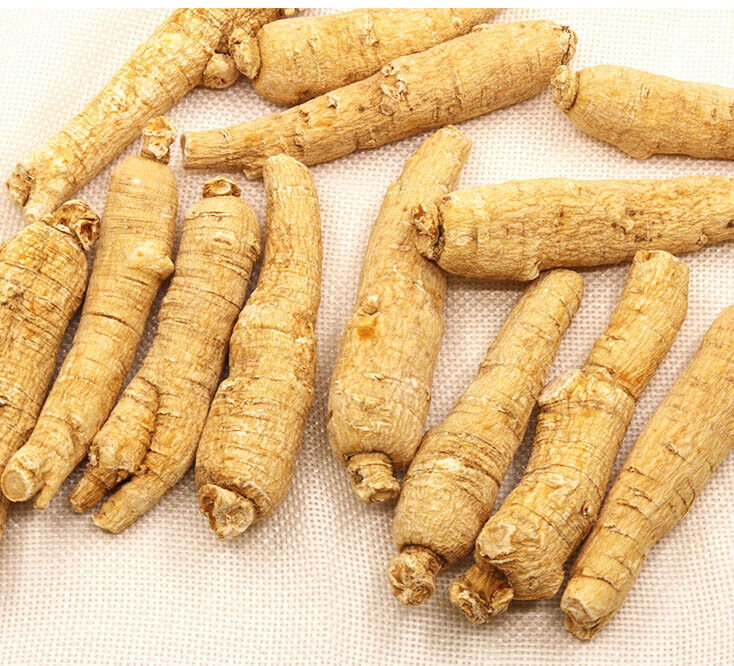 100% Natural 6 years of American Ginseng Roots Long Large ginseng roots