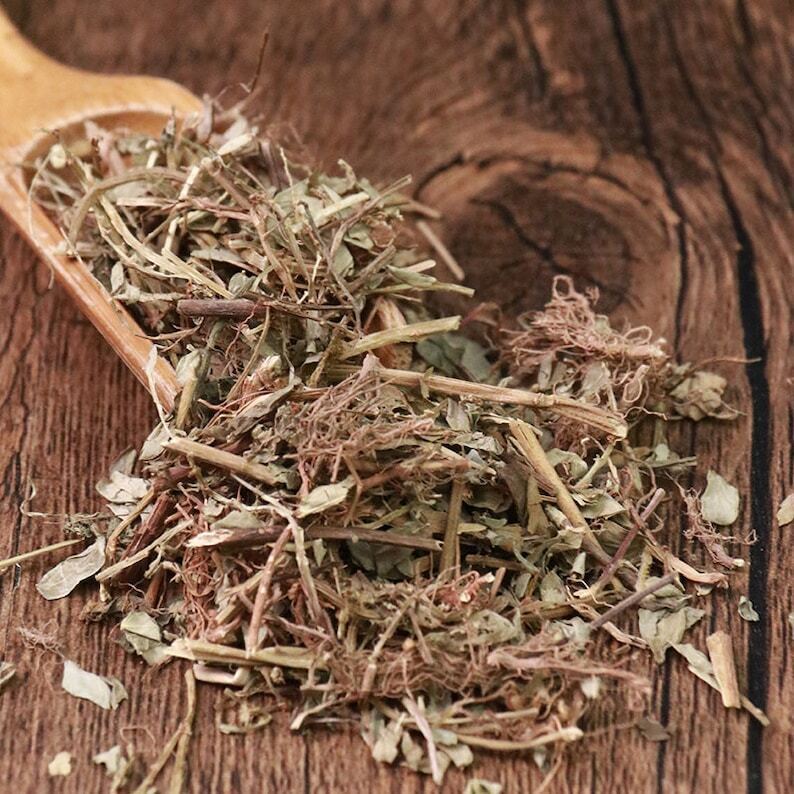 Organic Herbal Phyllanthi Urinariae Common Leafflower Herb Great Quality