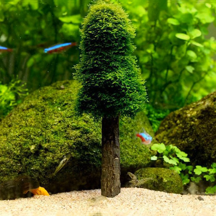 Aquarium Moss Plants Holder DIY Growing Live Mini Trees Shrimp Tanks Accessories