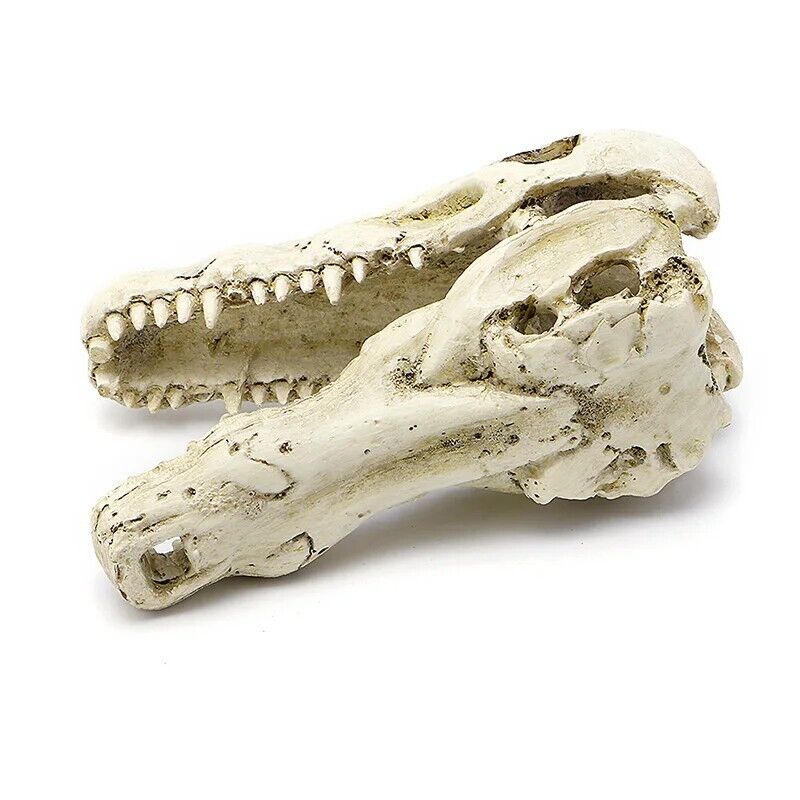 Aquarium Decoration 5" Resin Crocodile Skull Artificial Decor Fish Tank Ornament