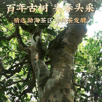 Brown Mountain Pu'er Tea Cooked Tea Yunnan Menghai Old Tree Tea Mini Tuo Tea
