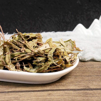Organic Herbal Folium Rhododendri Dahurici Dahurian Rhododendron Leaf Quality