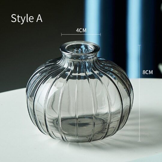Relief Small Glass Vase Hydroponic Terrarium