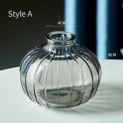 Relief Small Glass Vase Hydroponic Terrarium