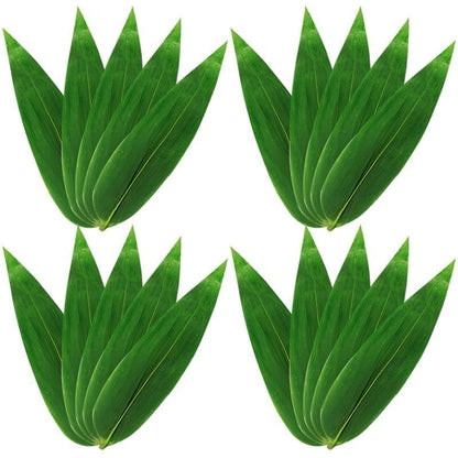 Fake Leaves 100Pcs Japanese Green Leaf Sushi Sashimi Dish Plate Tray Decorations