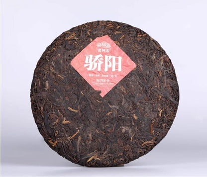 357g,Haiwan Old Comrade Blazing Sun Ripe Pu erh Puer Tea 1st Class Jiao Yang 普洱茶