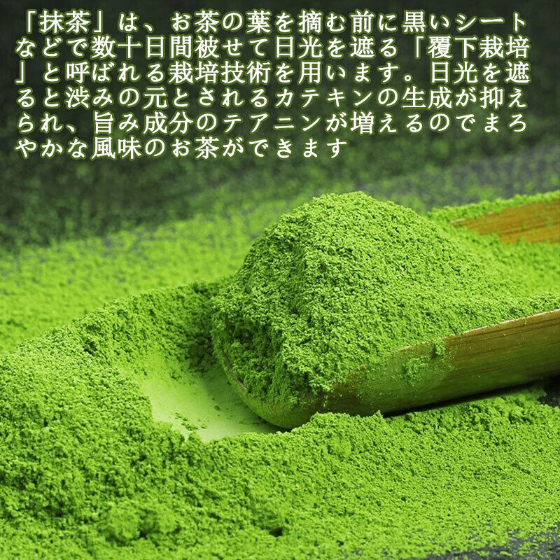 Organic Matcha Green Tea Powder Authentic Matcha Unsweetened Matcha Tea