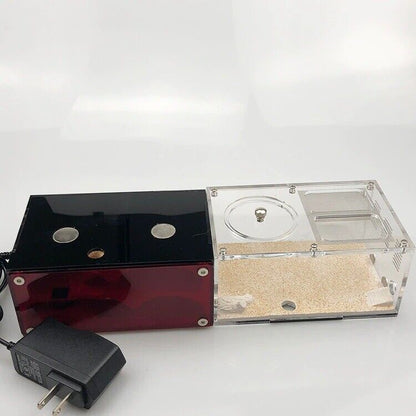 Insect House Ant Farm Colony Formicarium Auto Heating 15x10x13.5cm Concrete Sand