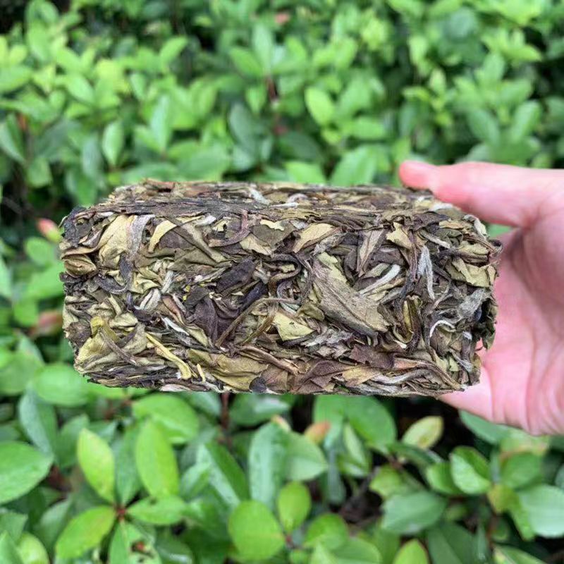 200g Shoumei White Tea Brick Top Fuding High Quality White Tea Chinese White Tea